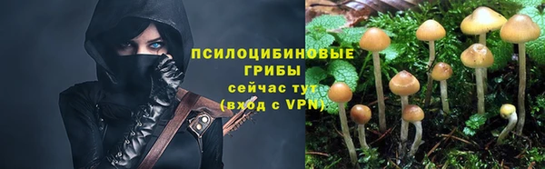 мефедрон Алексеевка